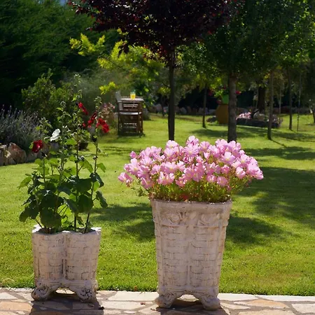 Country Style Christina Willa Pouláta